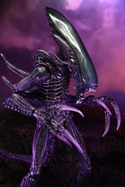 Alien vs. Predator Razor Claws (Movie Deco) Figure (preorder) - Action & Toy Figures -  Neca