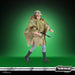 Star Wars The Vintage Collection Princess Leia (Endor) - Action & Toy Figures -  Hasbro