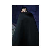 Universal Monsters – 7" Scale Action Figure - Ultimate Dracula - Transylvania -(preorder) - Action & Toy Figures -  Neca