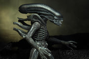 Neca Alien 40th Anniversary Giger's Alien - Action & Toy Figures -  Neca