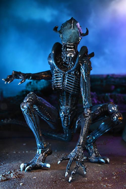 Alien vs. Predator Arachnoid (Movie Deco) Figure (preorder) - Action & Toy Figures -  Neca