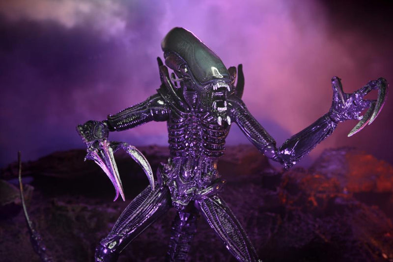 Alien vs. Predator Razor Claws (Movie Deco) Figure (preorder) - Action & Toy Figures -  Neca