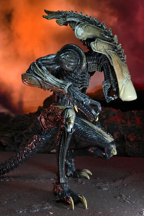 Alien vs. Predator Chrysalis (Movie Deco) Figure (preorder) - Action & Toy Figures -  neca