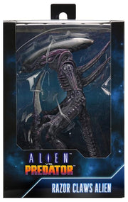 Alien vs. Predator Arachnoid (Movie Deco) Figure (preorder) - Action & Toy Figures -  Neca
