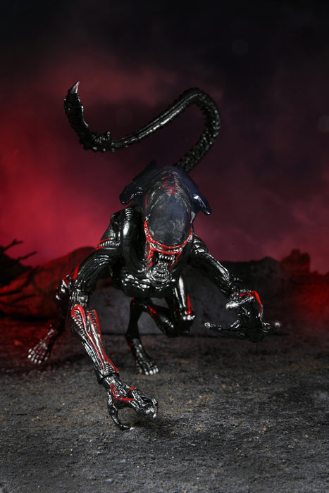 Alien  Night Cougar Kenner Tribute Ultimate (preorder) - Action figure -  Neca