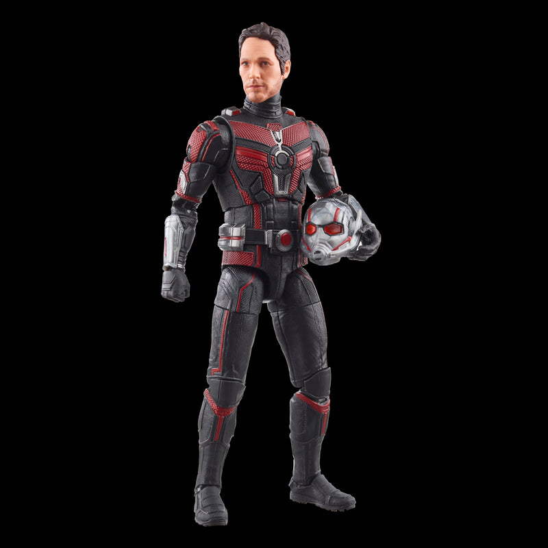 Marvel Legends Series Ant-Man - CASSIE LANG BAF (Preorder Q3) - Action & Toy Figures -  Hasbro