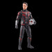 Marvel Legends Series Ant-Man - CASSIE LANG BAF (Preorder Q3) - Action & Toy Figures -  Hasbro