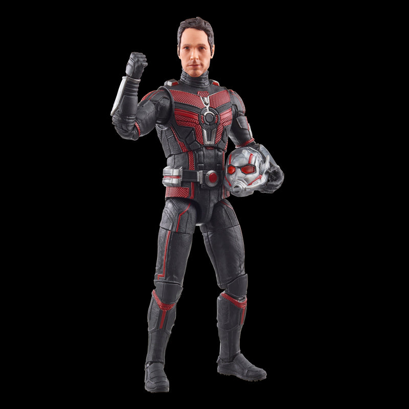 Marvel Legends Series Ant-Man - CASSIE LANG BAF (Preorder Q3) - Action & Toy Figures -  Hasbro