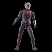 Marvel Legends Series Ant-Man - CASSIE LANG BAF (Preorder Q3) - Action & Toy Figures -  Hasbro