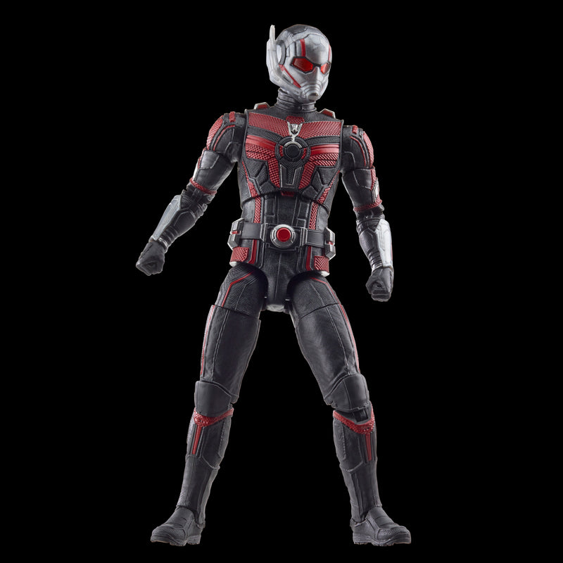 Marvel Legends Series Ant-Man - CASSIE LANG BAF (Preorder Q3) - Action & Toy Figures -  Hasbro