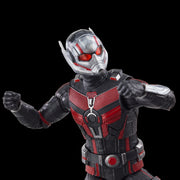 Marvel Legends Series Ant-Man - CASSIE LANG BAF (Preorder Q3) - Action & Toy Figures -  Hasbro