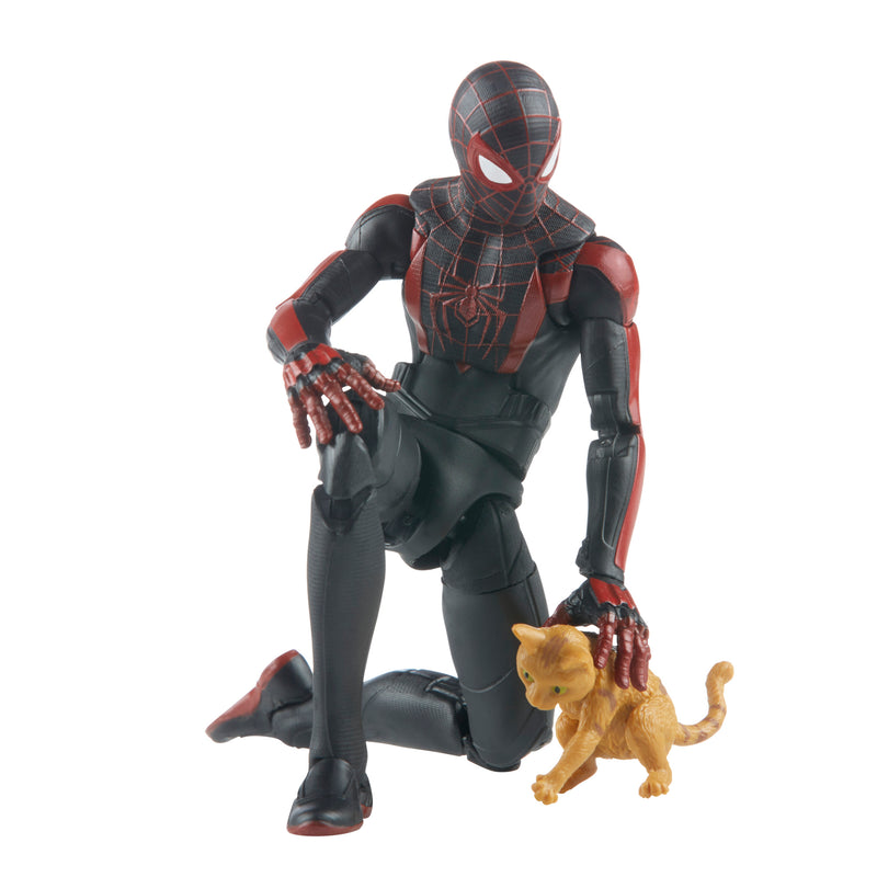 Marvel Legends Gamerverse Miles Morales (preorder OCT ) - Collectables > Action Figures > toys -  Hasbro
