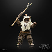 Star Wars The Black Series Paploo - 40th Anniversary of Star Wars: Return of the Jedi (Preorder End Q2 2023) - Collectables > Action Figures > toy -  Hasbro