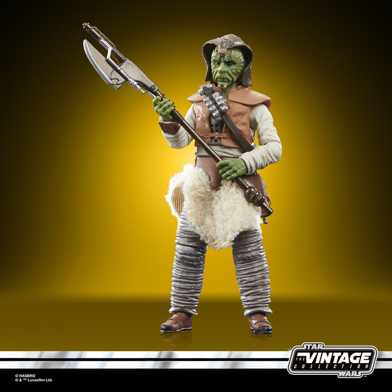 Star Wars The Vintage Collection Wooof (PreOrder Q2 2023) - Collectables > Action Figures > toy -  Hasbro