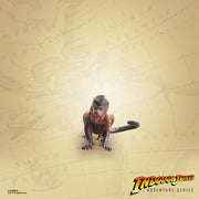 Indiana Jones Adventure Series Indiana Jones - Cairo - exclusive (preorder) - Collectables > Action Figures > toys -  Hasbro
