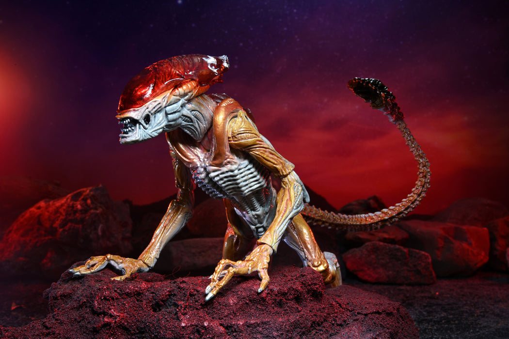 Panther Aliens Kenner Tribute Neca (preorder) - Action figure -  Neca