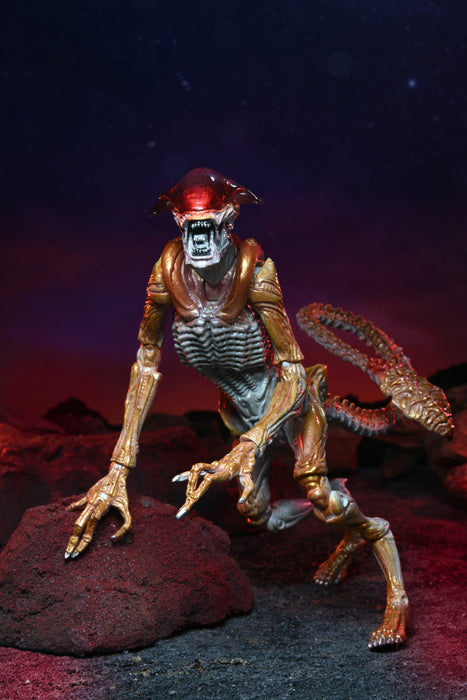 Panther Aliens Kenner Tribute Neca (preorder) - Action figure -  Neca
