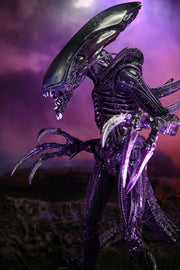 Alien vs. Predator Razor Claws (Movie Deco) Figure (preorder) - Action & Toy Figures -  Neca