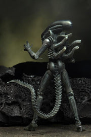 Neca Alien 40th Anniversary Giger's Alien - Action & Toy Figures -  Neca