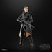 Star Wars The Black Series Fennec Shand - Action & Toy Figures -  Hasbro