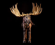 Mythic Legions - Alder - Illythia Wave - Moose - Action & Toy Figures -  Four Horsemen