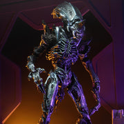 Aliens Ultimate Rhino Alien Figure ( blue/silver) - Action & Toy Figures -  Neca