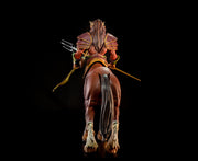 Mythic Legions - Aphareus - Illythia Wave - CENTAUR - Action & Toy Figures -  Four Horsemen