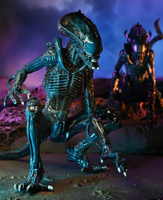 Alien vs. Predator Arachnoid (Movie Deco) Figure (preorder) - Action & Toy Figures -  Neca