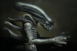 Neca Alien 40th Anniversary Giger's Alien - Action & Toy Figures -  Neca