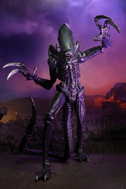 Alien vs. Predator Razor Claws (Movie Deco) Figure (preorder) - Action & Toy Figures -  Neca
