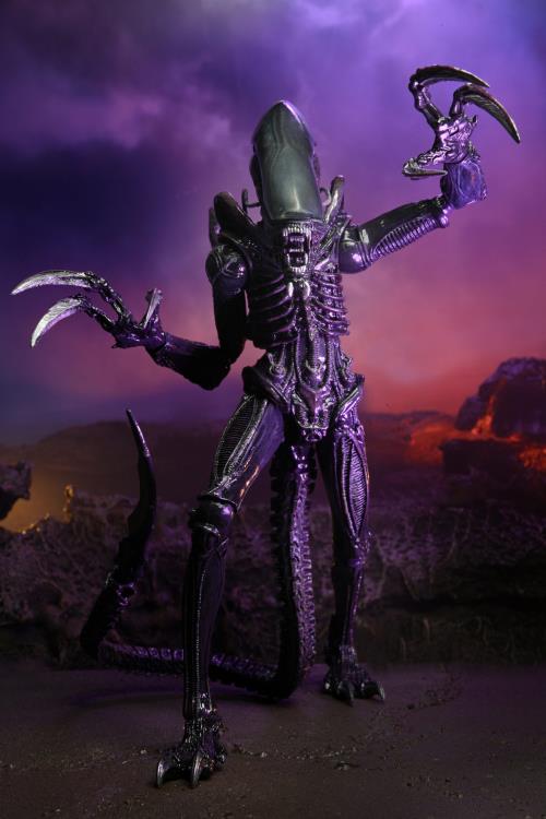 Alien vs. Predator Razor Claws (Movie Deco) Figure (preorder) - Action & Toy Figures -  Neca