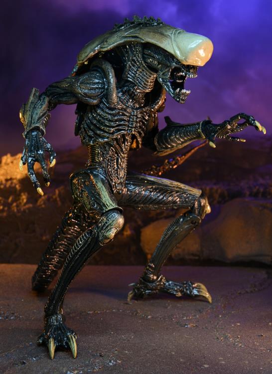Alien vs. Predator Aliens Set of 3 Figures (Movie Deco) — Toy Snowman