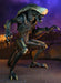 Alien vs. Predator Aliens Set of 3 Figures Movie Deco  (Preorder) - Action figure -  Neca