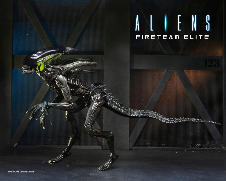 Aliens: Fireteam Elite Spitter Alien Action Figure - Action & Toy Figures -  Neca