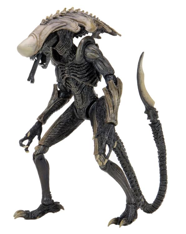 Alien vs. Predator Aliens Set of 3 Figures Movie Deco  (Preorder) - Action figure -  Neca