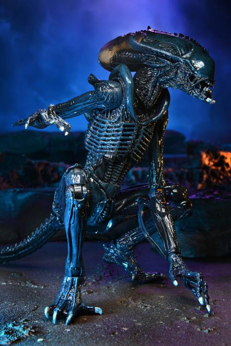 Alien vs. Predator Arachnoid (Movie Deco) Figure (preorder) - Action & Toy Figures -  Neca
