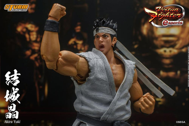 Virtua Fighter 5 Akira Yuki 1/12 Scale Figure -  -  Storm Collectibles