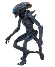 Alien vs. Predator Arachnoid (Movie Deco) Figure (preorder) - Action & Toy Figures -  Neca