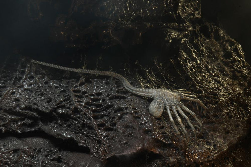 Neca Alien 40th Anniversary Giger's Alien - Action & Toy Figures -  Neca