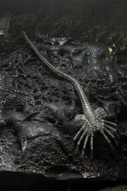 Neca Alien 40th Anniversary Giger's Alien - Action & Toy Figures -  Neca