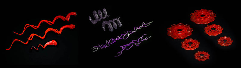 Mythic Legions: Poxxus Accessory Packs (preorder) - Action & Toy Figures -  Four Horsemen