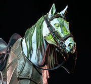 Mythic Legions -  Phlogeus - Poxxus (preorder) - Action & Toy Figures -  Four Horsemen