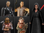 (pre-orderd ) Star Wars: The Black Series 6" Wave 38 Set of 5 Figures - Toy Snowman