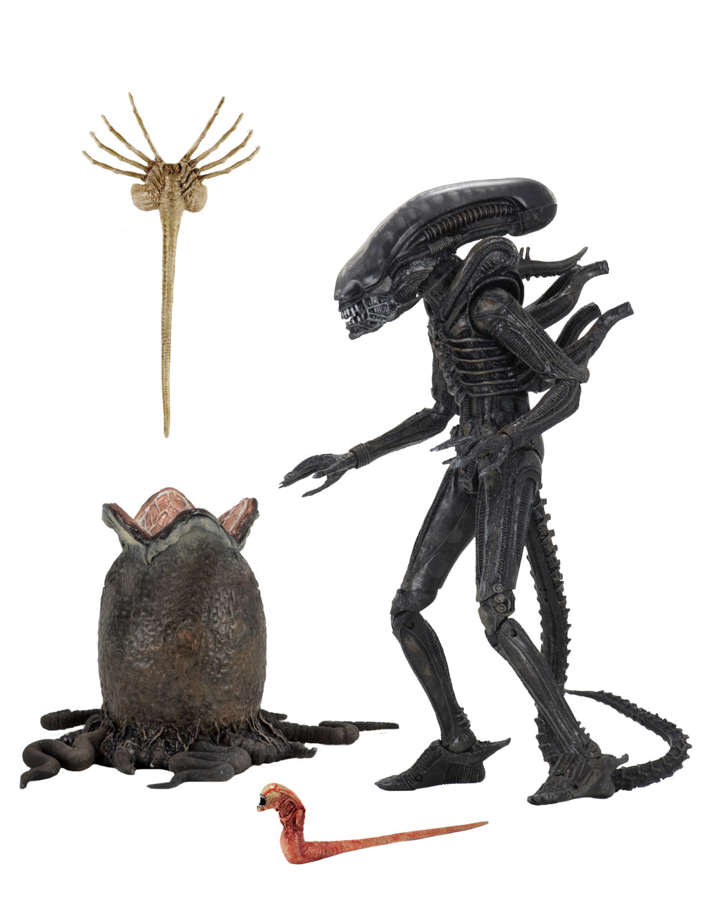 アナイアレイションXL Neca - Alien - Ultimate 40th Anniversary Big Chap — Toy Snowman
