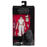Star Wars: The Black Series 6" Rey & D-O (The Rise of Skywalker) - Toy Snowman